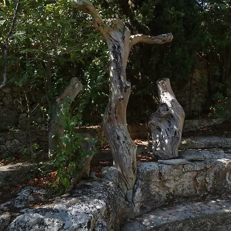 Apartman Borgo Del Mirto Selva di Fasano